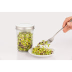 Kilner Sprouting Set, 350ml