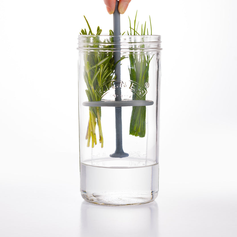 Kilner Herb Keeper, 1 Litre