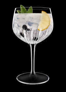 Luigi Bormioli Mixology Spanish Gin 800ml - Set 4 image 1