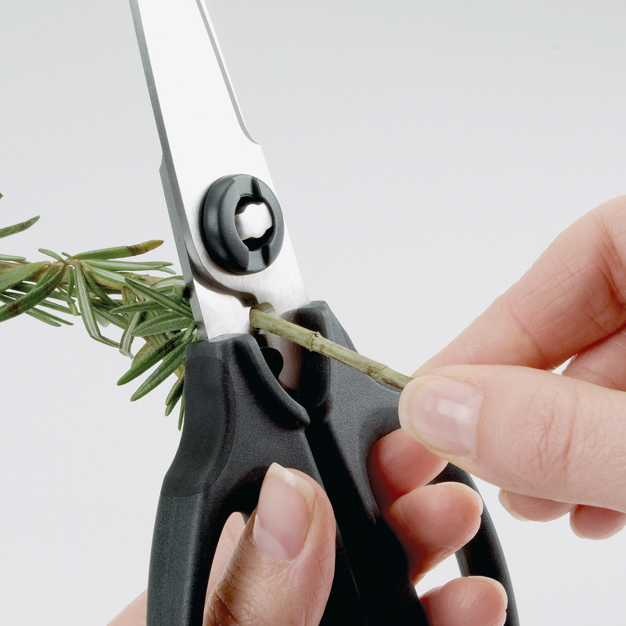 Oxo Kitchen & Herb Scissors image 3