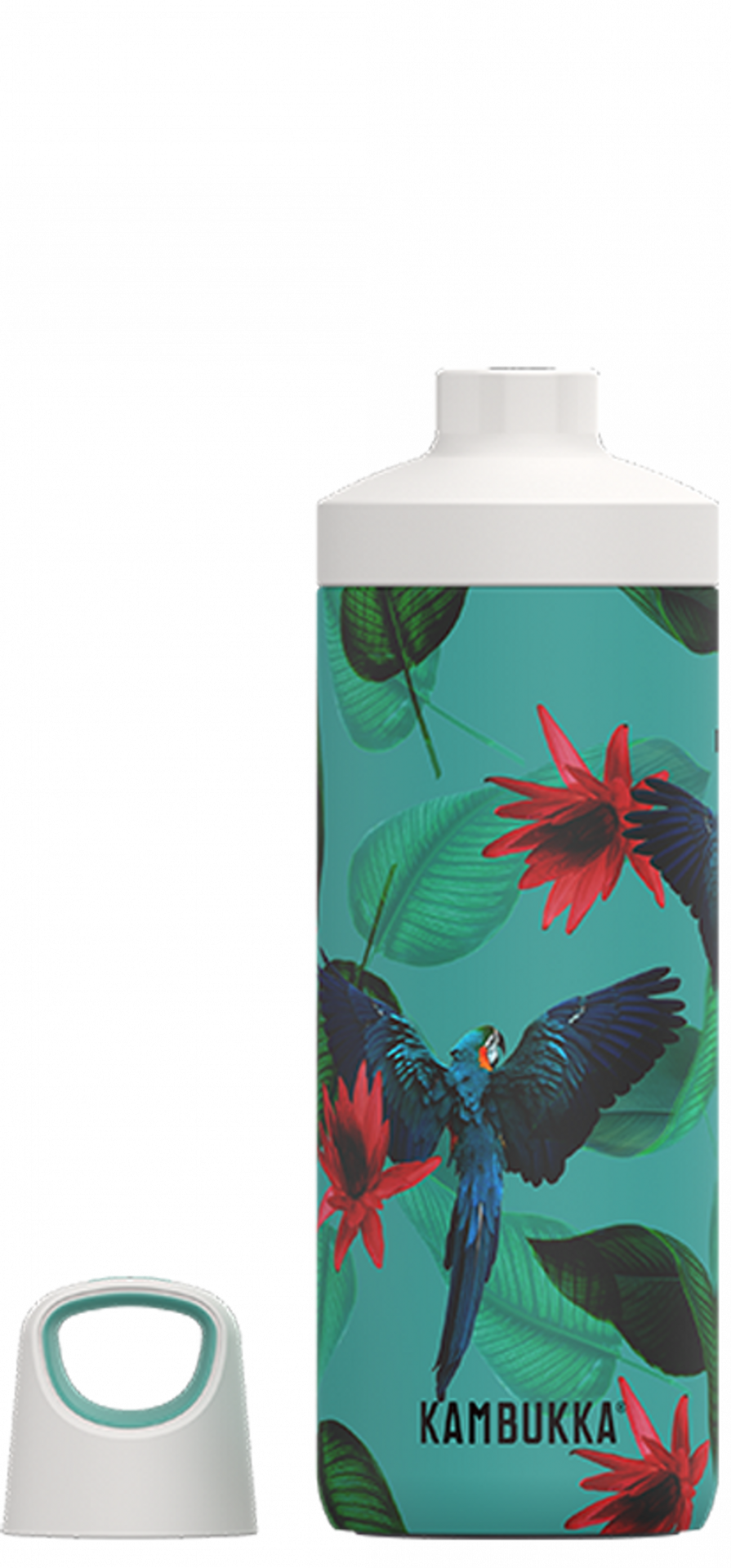 Kambukka Reno Insulated Bottle 500ml Parrots image 1