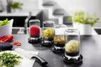Gefu Sprouting Jar BIVITA image 1