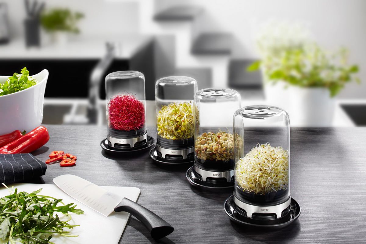Gefu Sprouting Jar BIVITA image 1