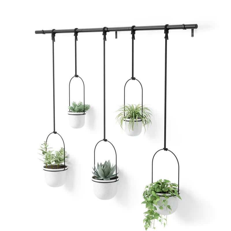 Umbra Triflora Hanging Planter Set of 5 - White/Black image 0