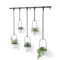 Umbra Triflora Hanging Planter Set of 5 - White/Black image 0
