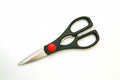 Cuisena Scissors image 0