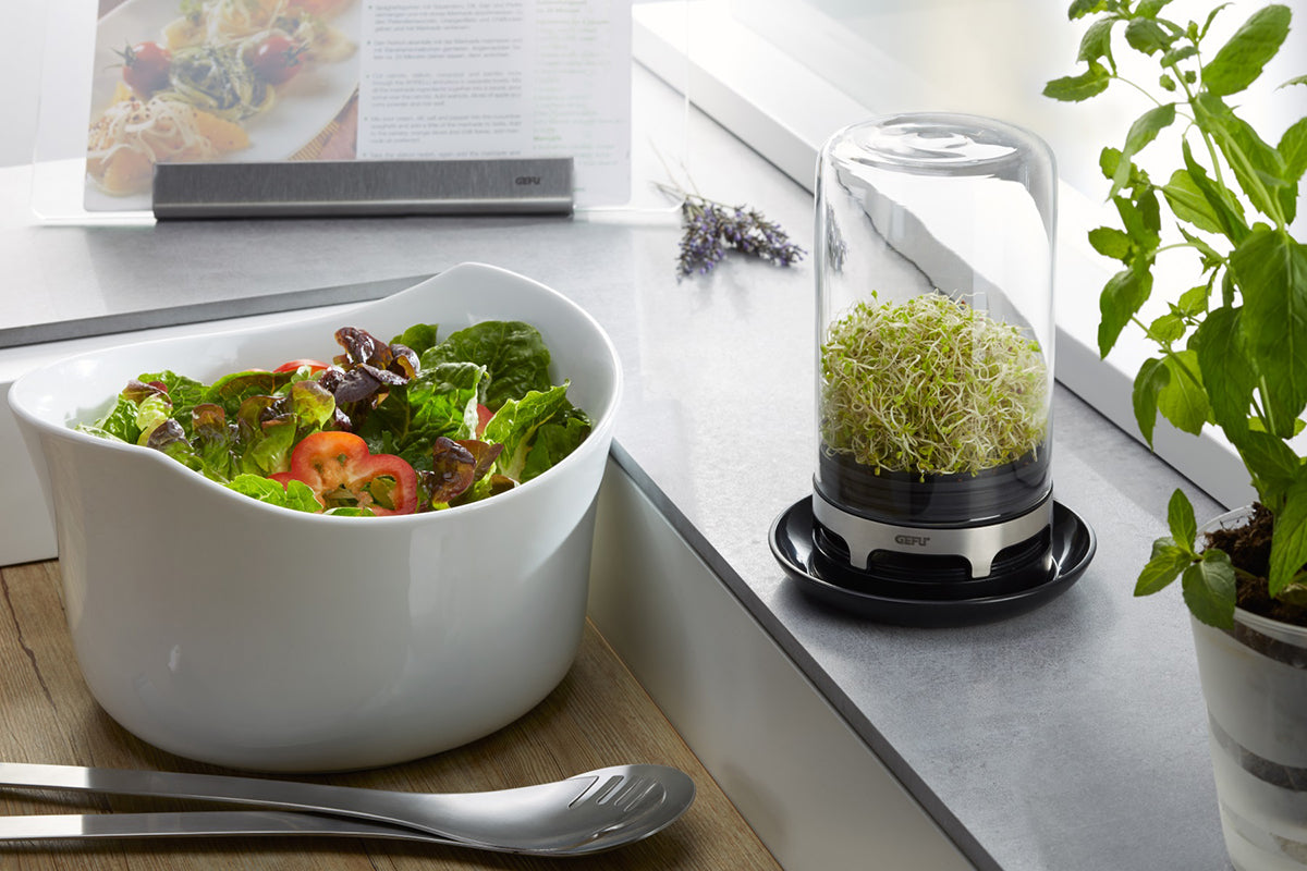 Gefu Sprouting Jar BIVITA image 2