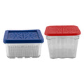 Avanti Berry Baskets 2 Piece Set image 0