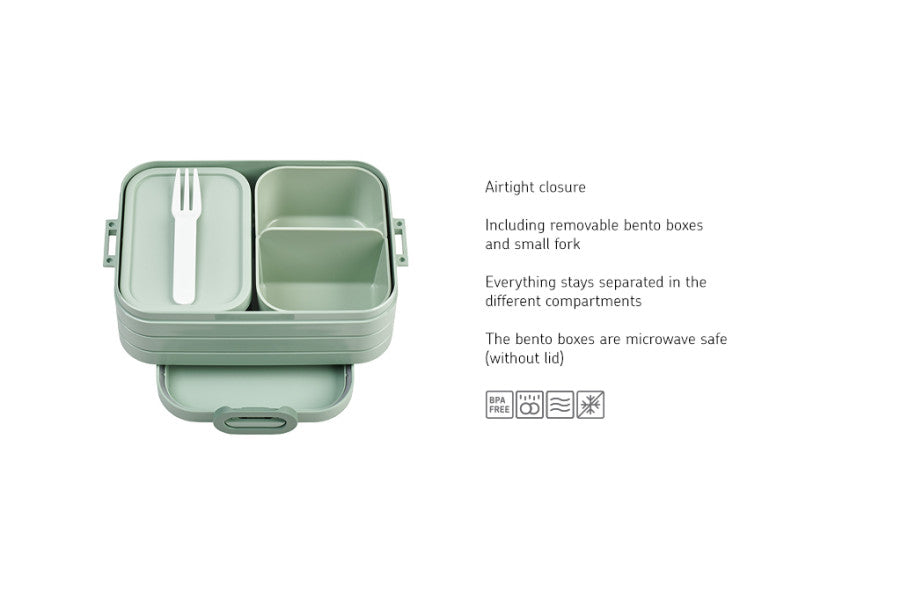 Bento Box Large Nordic Sage image 1