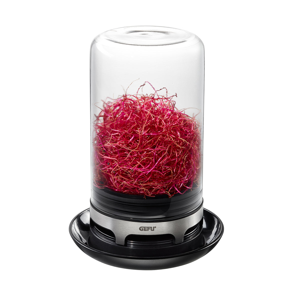 Gefu Sprouting Jar BIVITA image 0