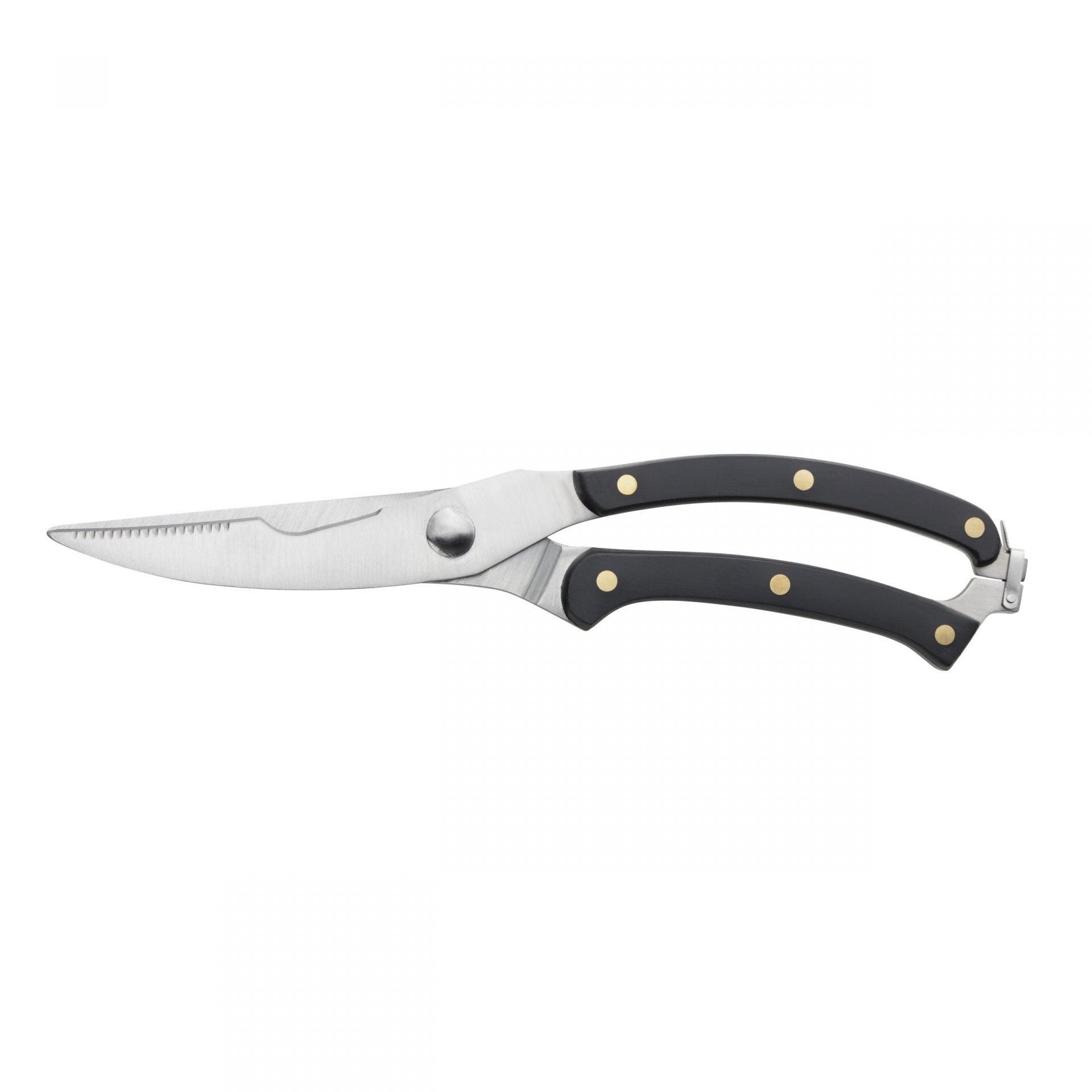 Taylors Poultry Shears - Tdh009 image 0