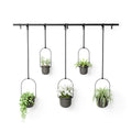 Umbra Triflora Hanging Planter Set of 5 - Black image 0