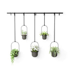 Umbra Triflora Hanging Planter Set of 5 - Black image 0