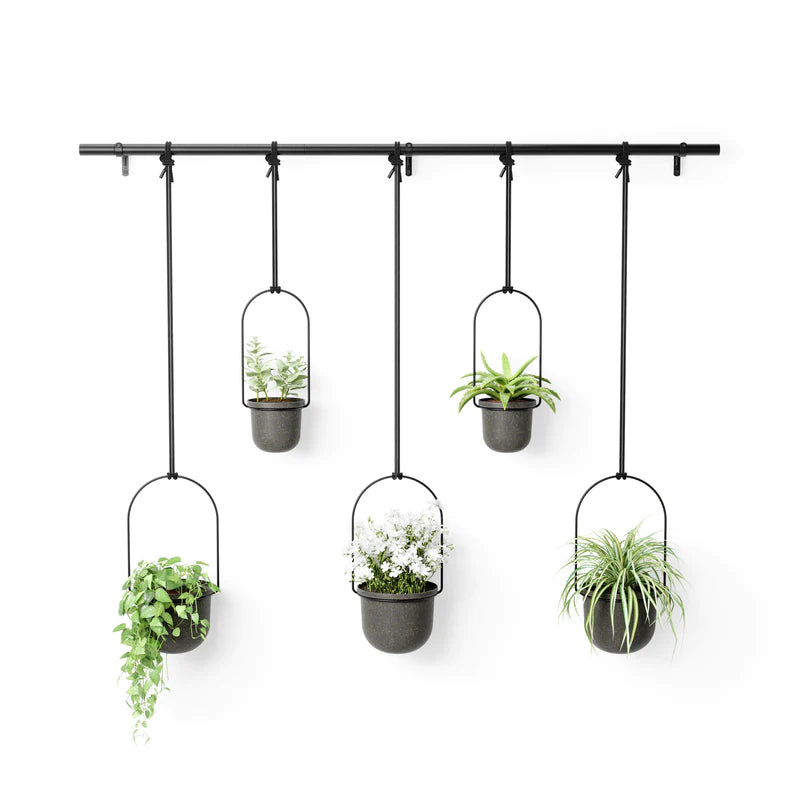 Umbra Triflora Hanging Planter Set of 5 - Black image 0