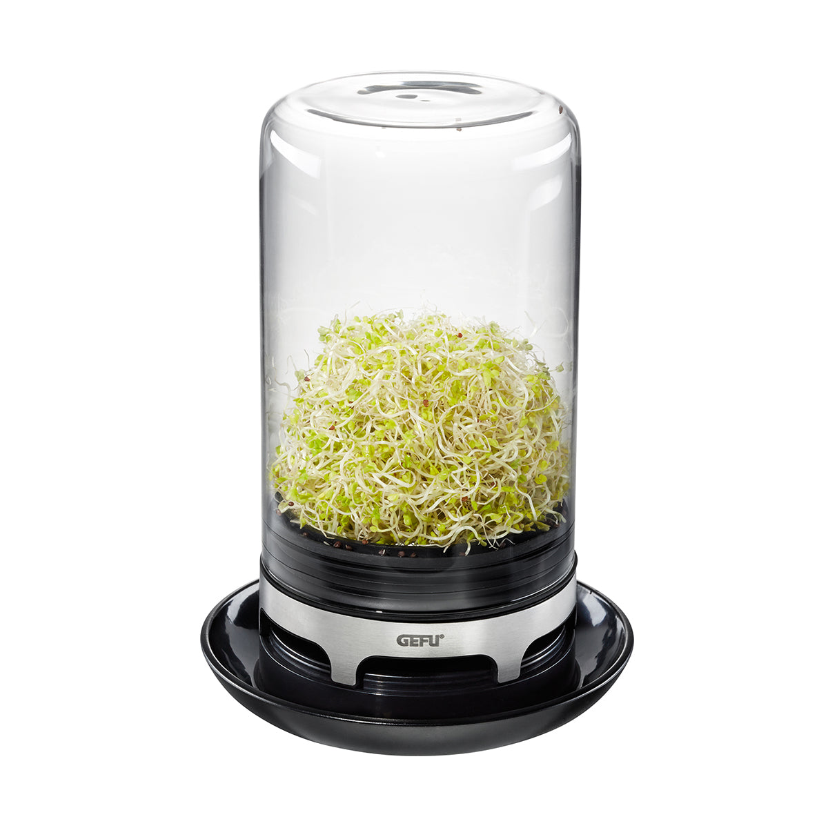 Gefu Sprouting Jar BIVITA image 3