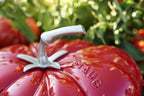 Staub Tomato Cocotte - 25cm image 7