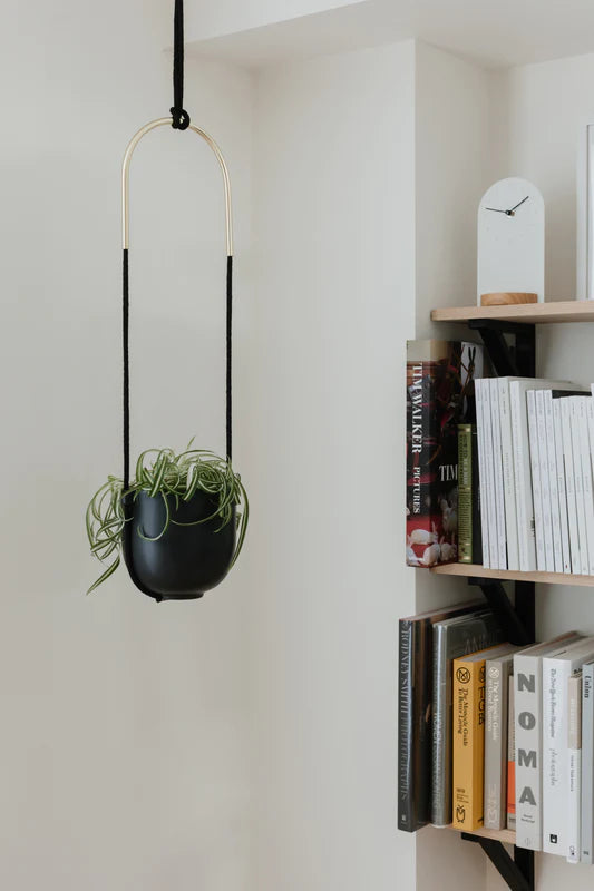 Umbra Bolo Hanging Planter image 1