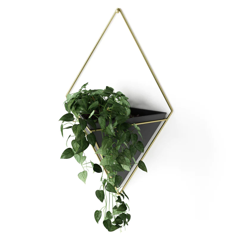Umbra Trigg Wall Display - Black-Brass image 0