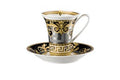 Rosenthal Cup & Saucer 4 T 14740 image 0