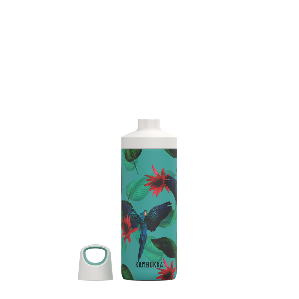 Kambukka Reno Insulated Bottle 500ml Parrots image 4