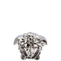 Rosenthal Money Box 10Cm Silver image 0