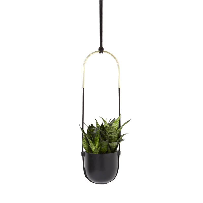 Umbra Bolo Hanging Planter image 0