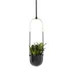 Umbra Bolo Hanging Planter image 0